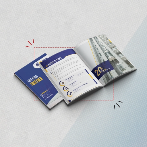 Alamex Elevator Homelift Catalog Design